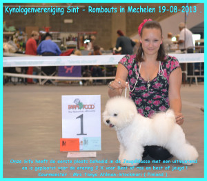 Mechelen hondenshow 2013