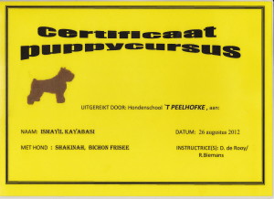 puppy Diploma Shakinah