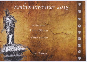 Sabi ambioriwinner 2015