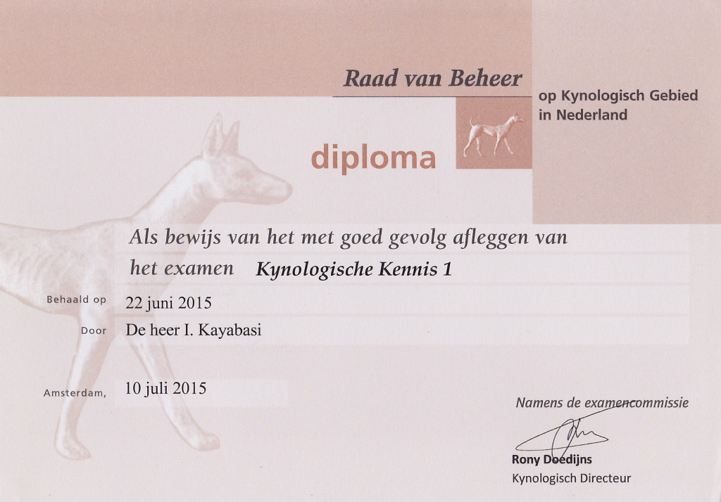 ismayil diploma kk1